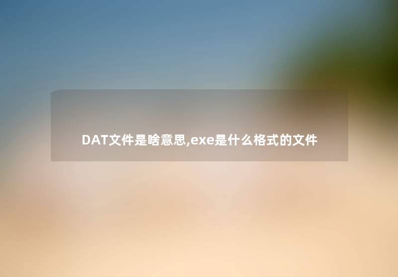 DAT文件是啥意思,exe是什么格式的文件