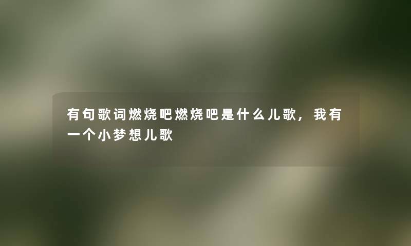 有句歌词燃烧吧燃烧吧是什么儿歌,我有一个小梦想儿歌