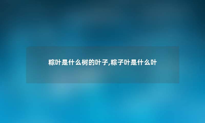 粽叶是什么树的叶子,粽子叶是什么叶