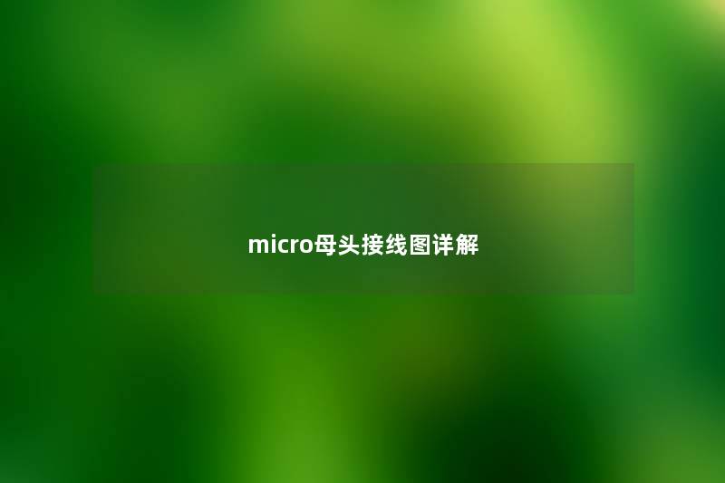 micro母头接线图详解