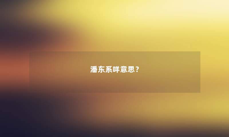 潘东系咩意思？