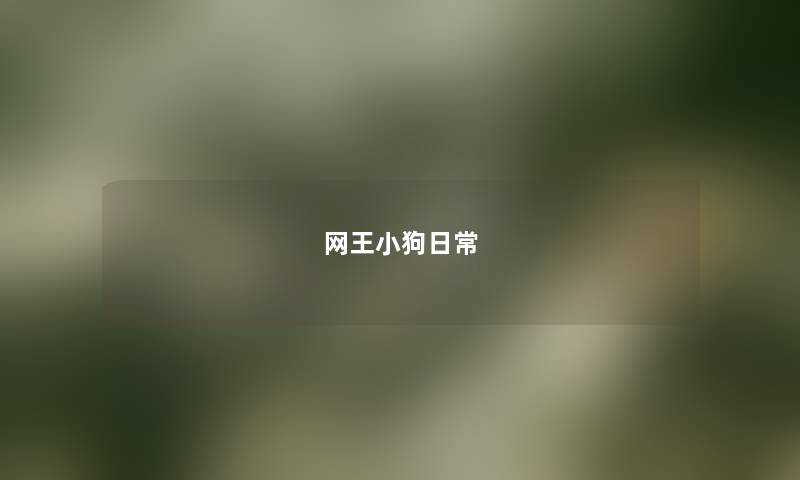 网王小狗日常