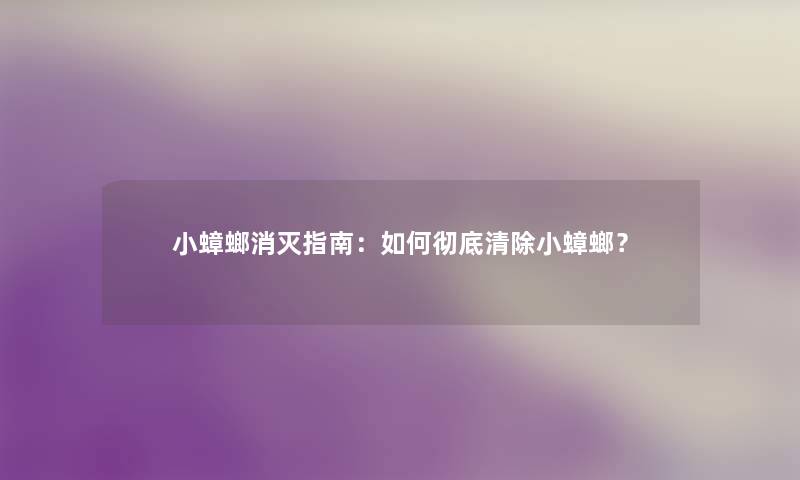 小蟑螂消灭指南：如何彻底清除小蟑螂？