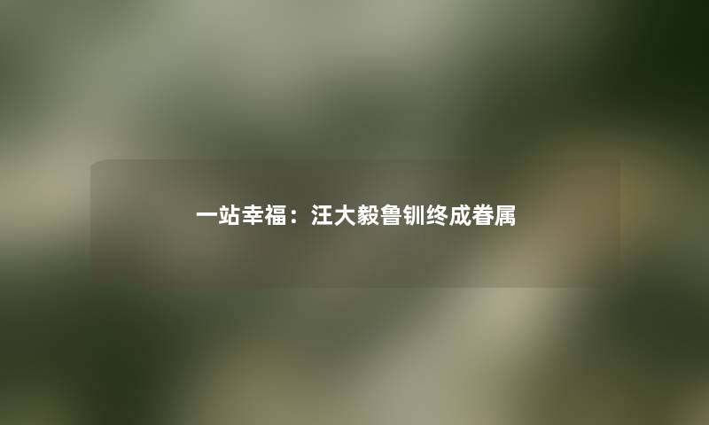 一站幸福：汪大毅鲁钏终成眷属