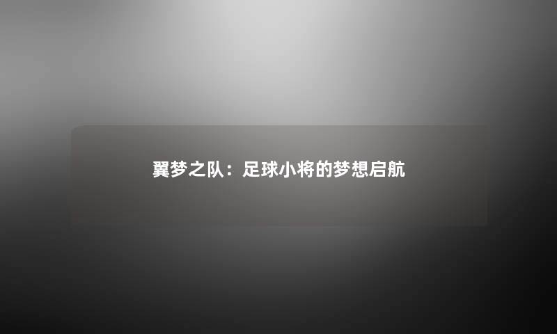 翼梦之队：足球小将的梦想启航