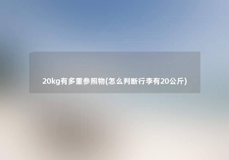 20kg有多重参照物(怎么判断行李有20公斤)