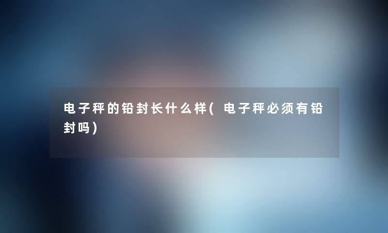 电子秤的铅封长什么样(电子秤必须有铅封吗)