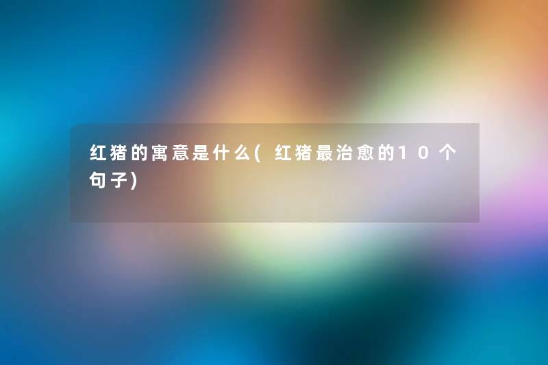 红猪的寓意是什么(红猪治愈的10个句子)