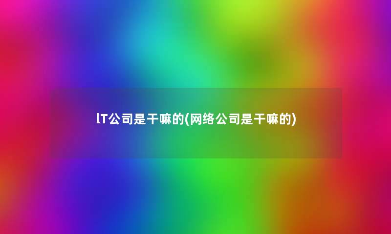 lT公司是干嘛的(网络公司是干嘛的)