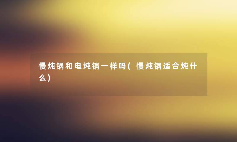 慢炖锅和电炖锅一样吗(慢炖锅适合炖什么)