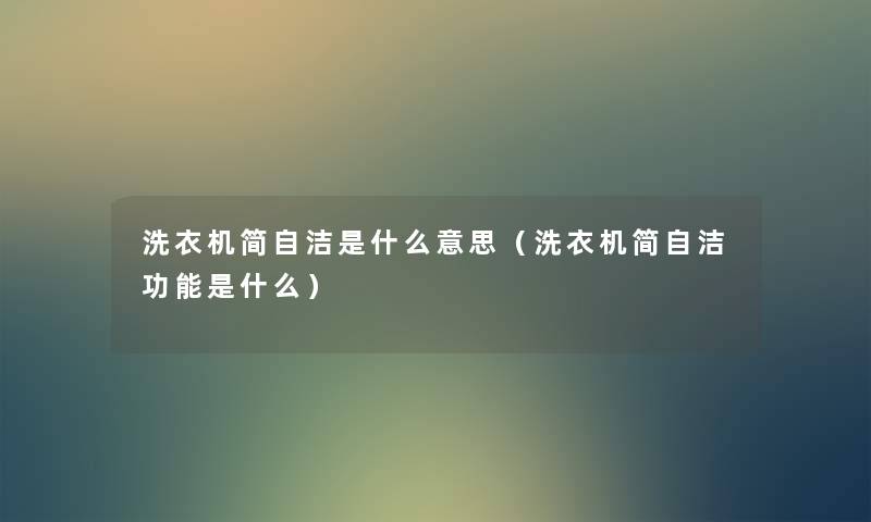 洗衣机简自洁是什么意思（洗衣机简自洁功能是什么）